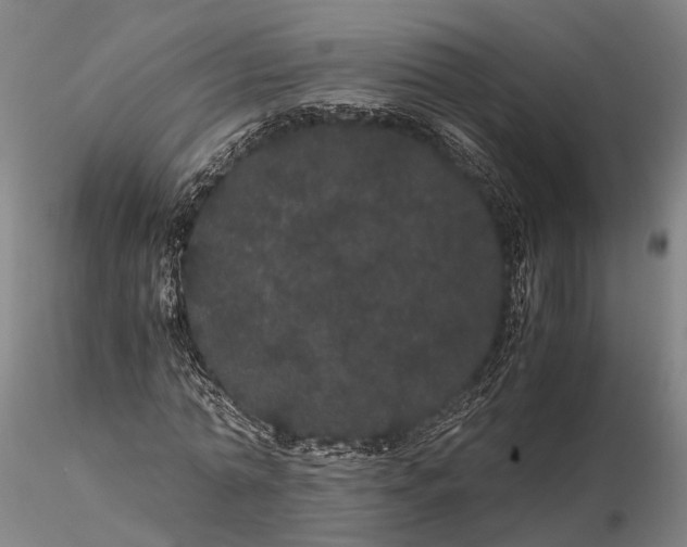 X0000116120774200912071345