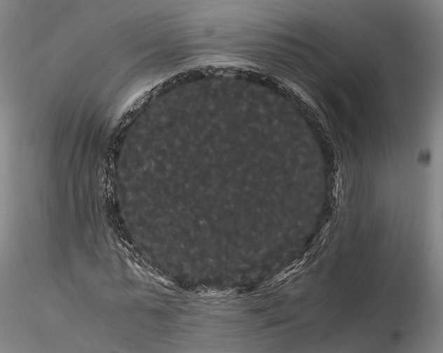 X0000116120775200912071345