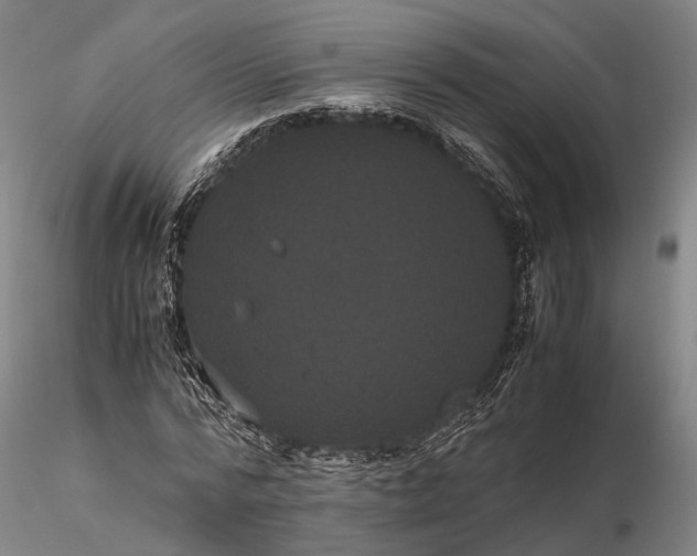 X0000116120776200912071345