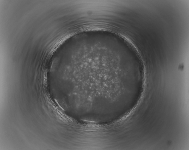 X0000116120777200912071345