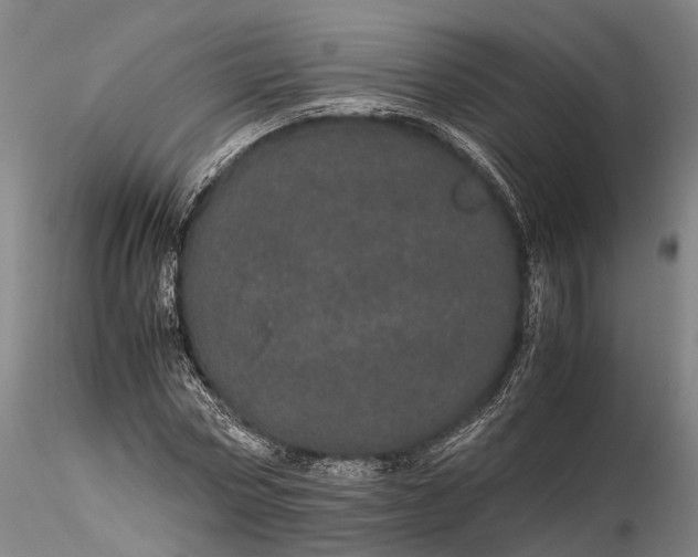 X0000116120778200912071345