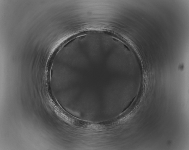 X0000116120779200912071345