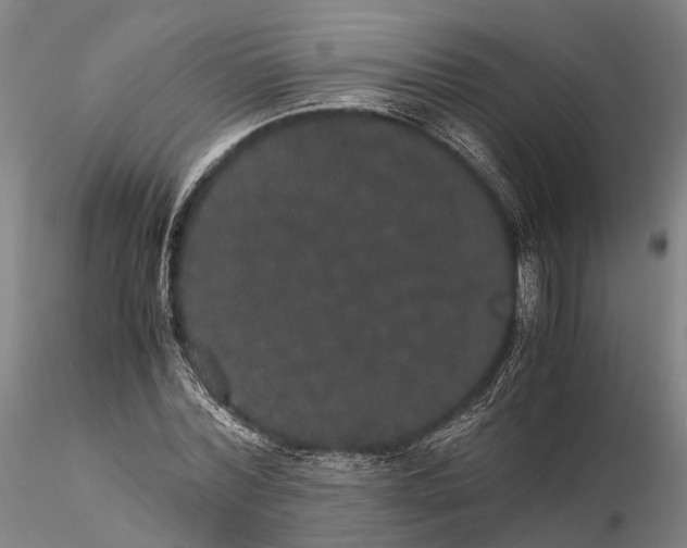 X0000116120780200912071345