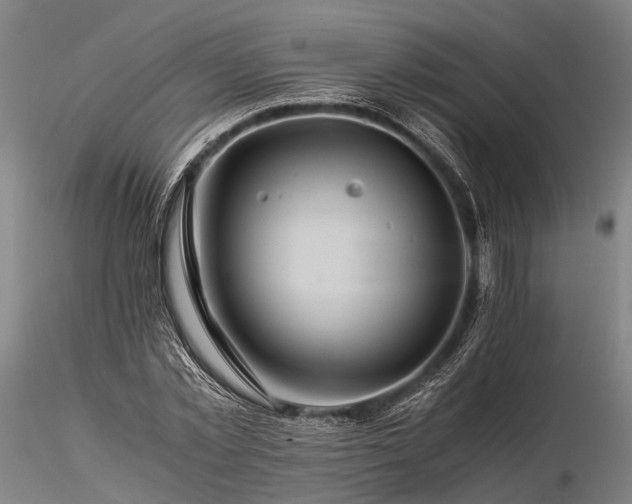 X0000116120781200912071345