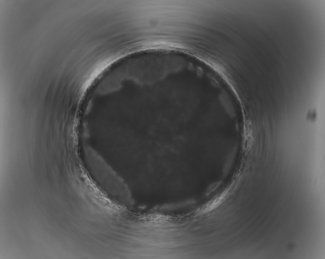 X0000116120783200912071345