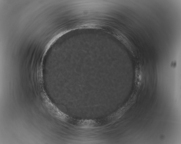 X0000116120784200912071345