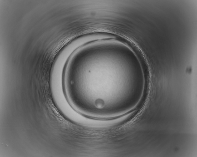 X0000116120785200912071345