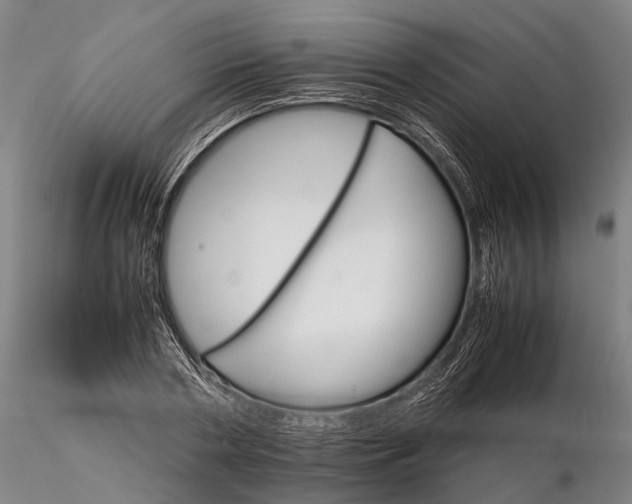 X0000116120786200912071345