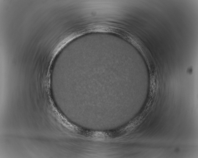 X0000116120787200912071345