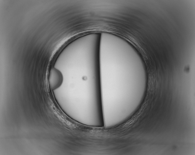 X0000116120788200912071345