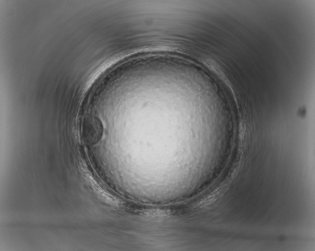 X0000116120789200912071345