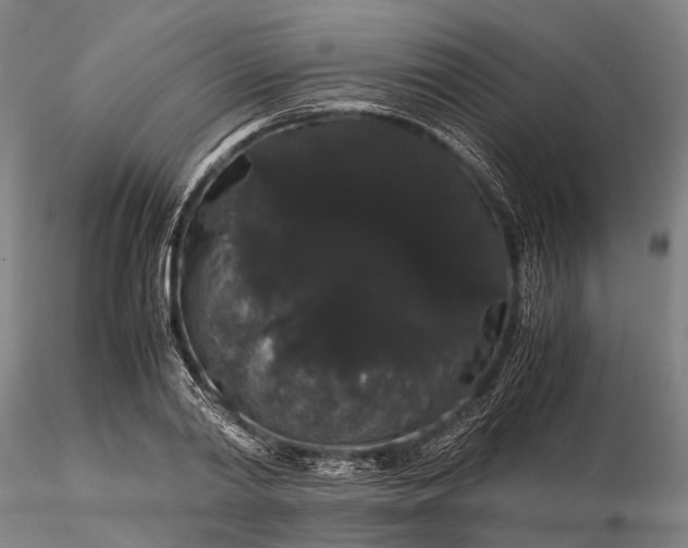 X0000116120790200912071345