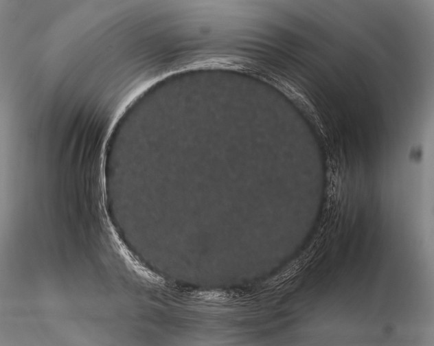 X0000116120792200912071345