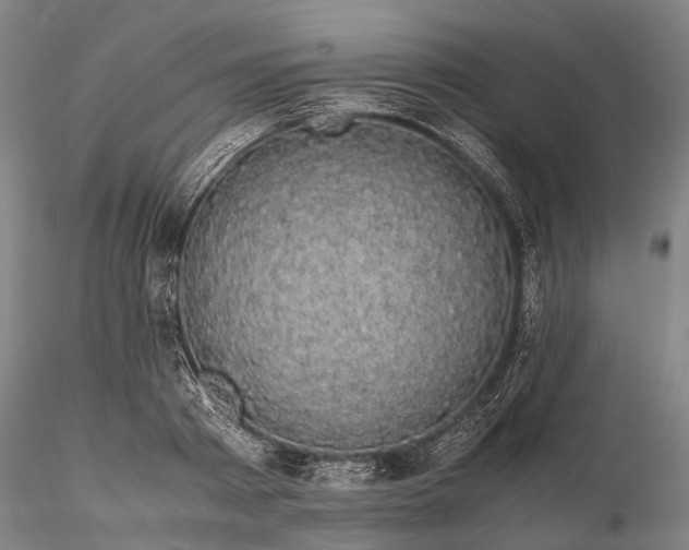 X0000116120793200912071345