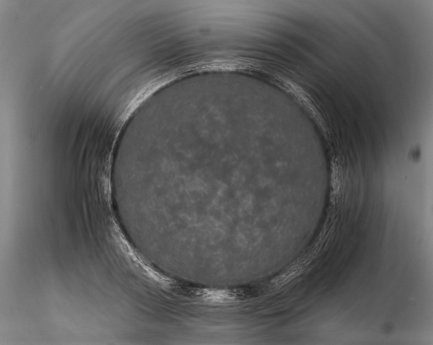 X0000116120794200912071345