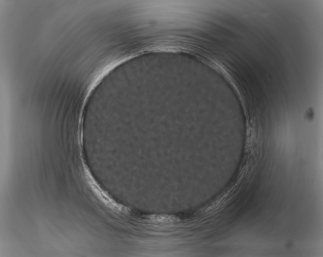 X0000116120795200912071345