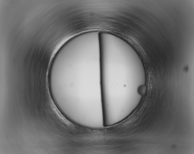 X0000116120796200912071345