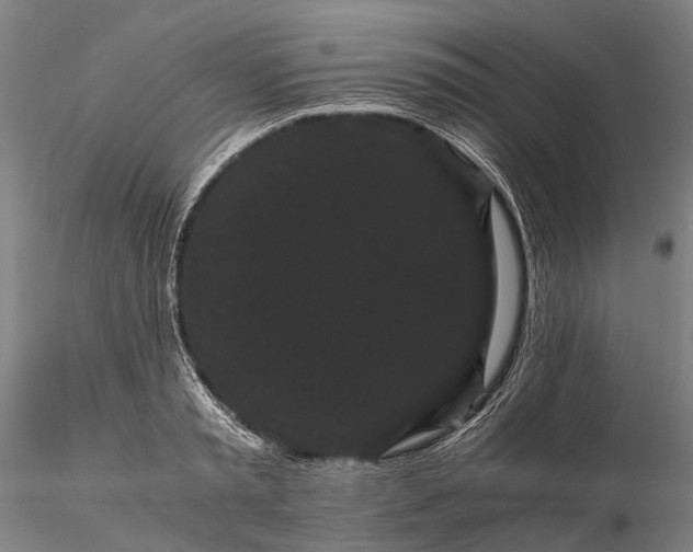 X0000116120797200912071345