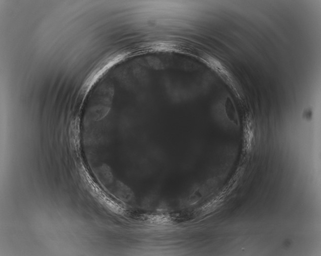 X0000116120798200912071345