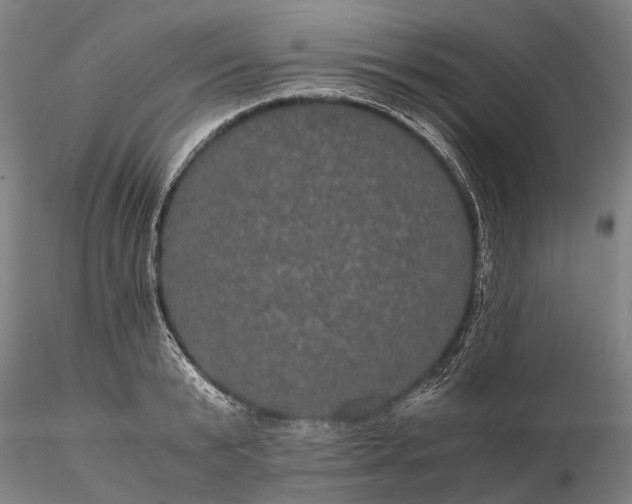 X0000116120799200912071345