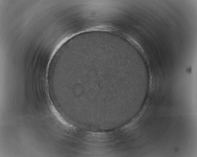 X0000116120800200912071345