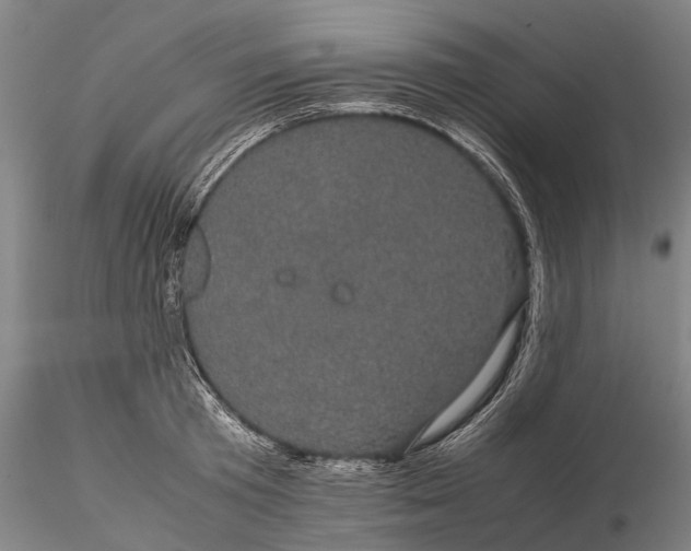 X0000116120801200912071345