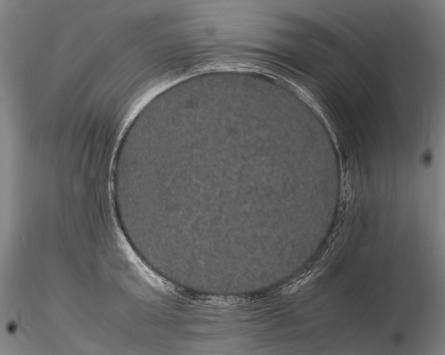 X0000116120803200912071345