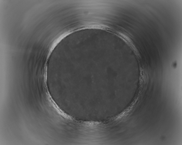 X0000116120804200912071345