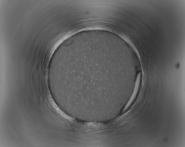 X0000116120805200912071345