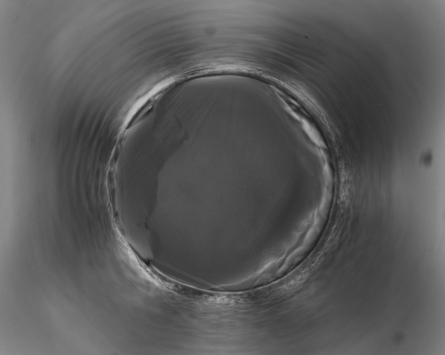 X0000116120806200912071344