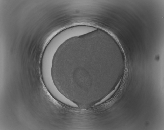 X0000116120807200912071344