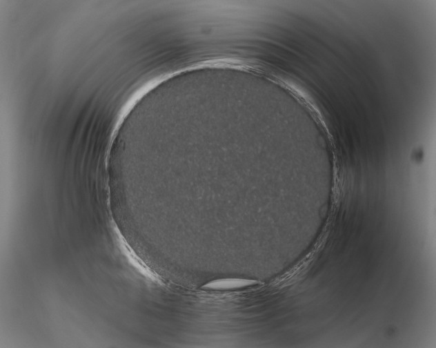 X0000116120808200912071344