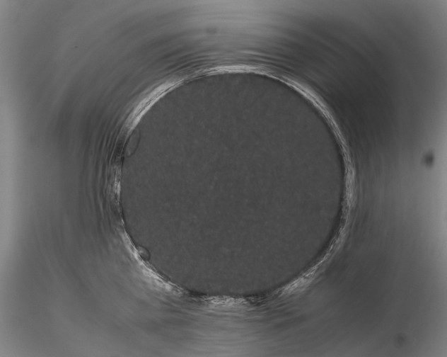 X0000116120809200912071344