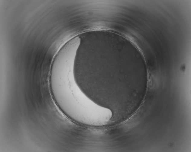 X0000116120810200912071344