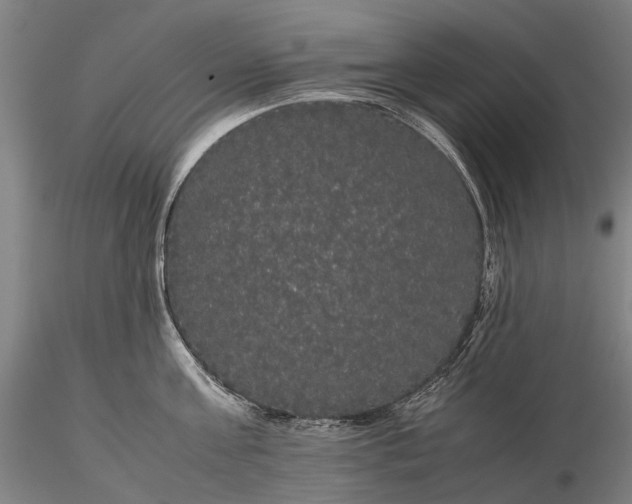 X0000116120811200912071344