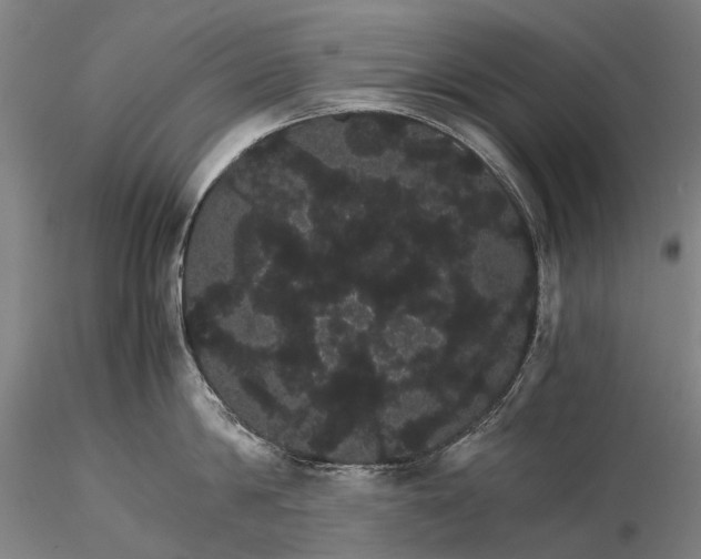 X0000116120814200912071344