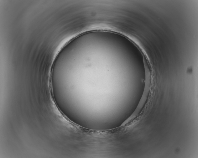 X0000116120815200912071344