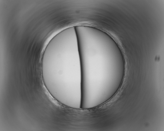 X0000116120816200912071344