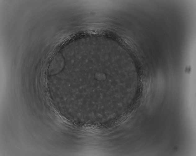 X0000116120817200912071344