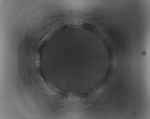 X0000116120818200912071344