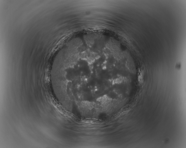 X0000116120819200912071344