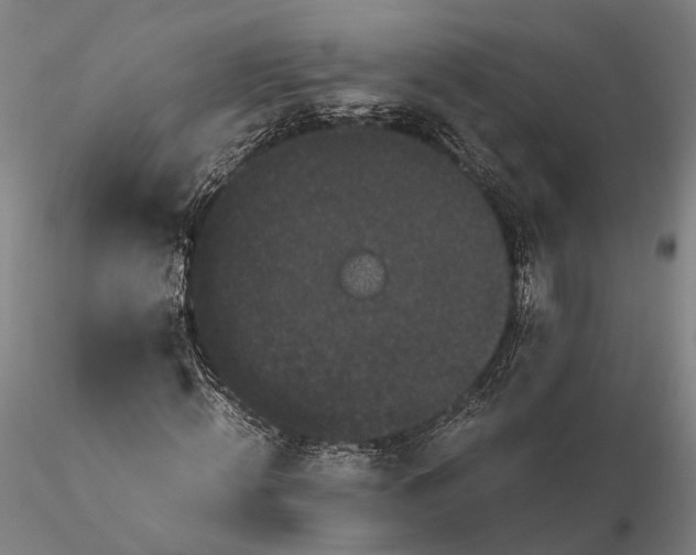 X0000116120820200912071344