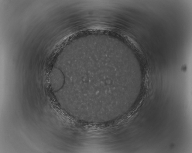 X0000116120821200912071344