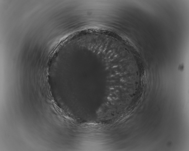 X0000116120822200912071344