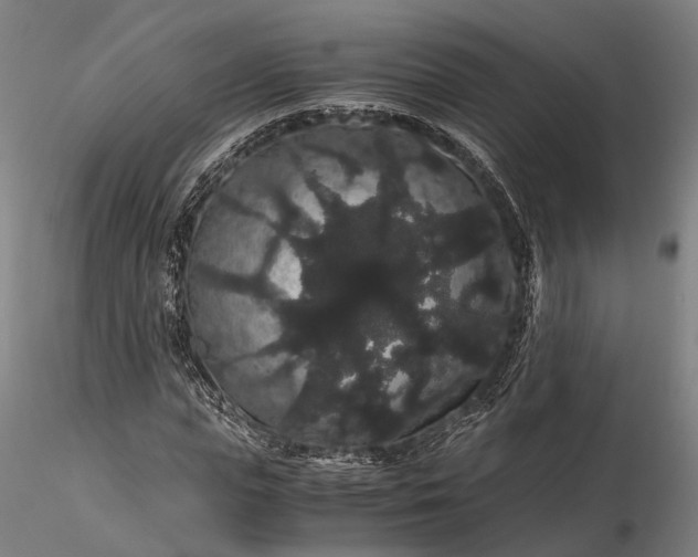 X0000116120823200912071344