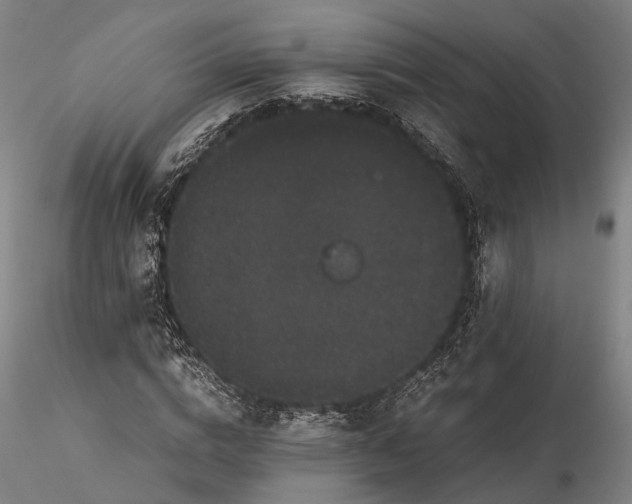 X0000116120824200912071344