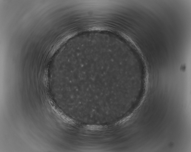 X0000116120825200912071344