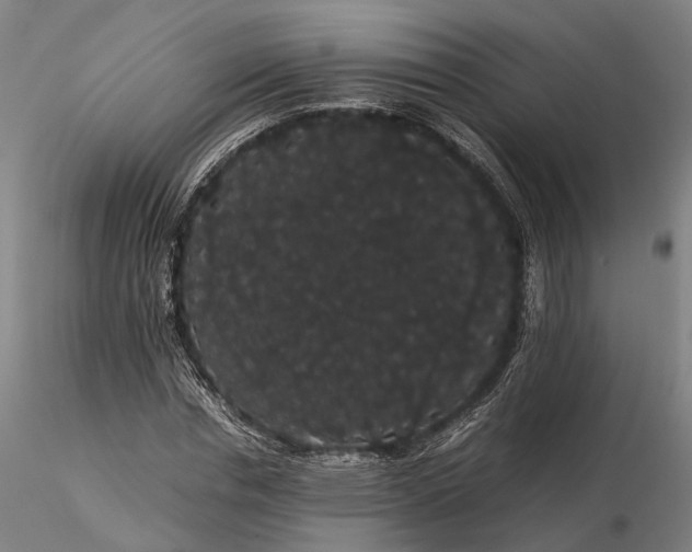 X0000116120826200912071344