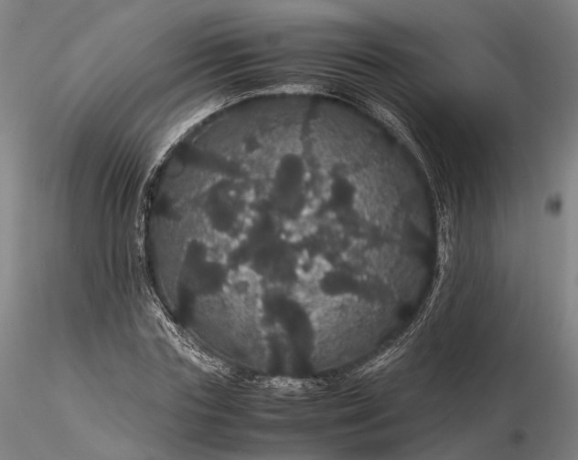 X0000116120827200912071344