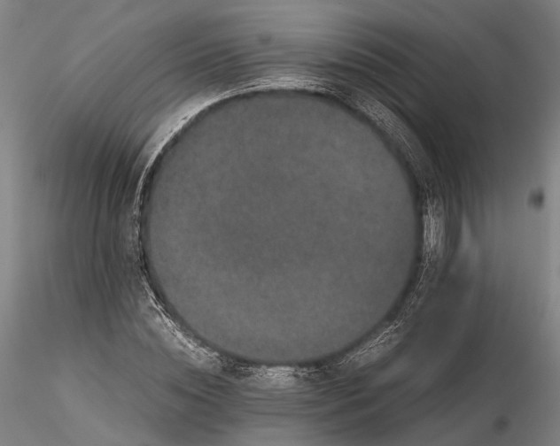 X0000116120828200912071344